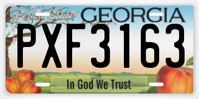 GA license plate PXF3163