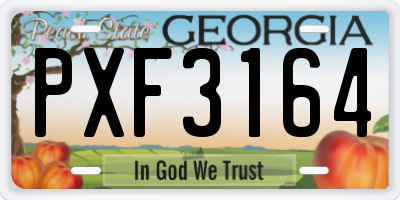 GA license plate PXF3164