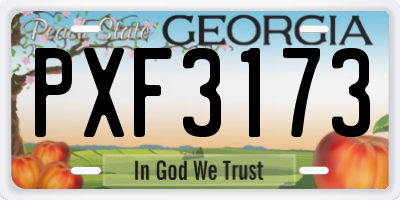 GA license plate PXF3173