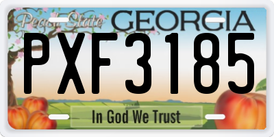 GA license plate PXF3185