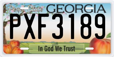 GA license plate PXF3189