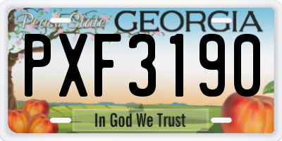 GA license plate PXF3190