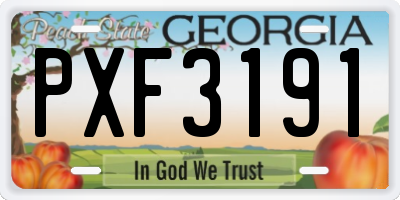 GA license plate PXF3191