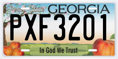 GA license plate PXF3201