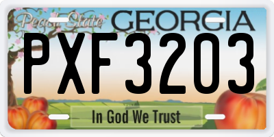 GA license plate PXF3203