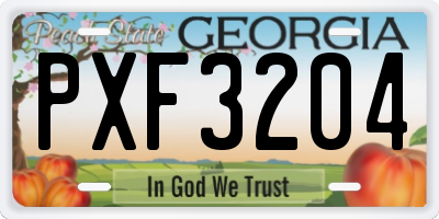GA license plate PXF3204