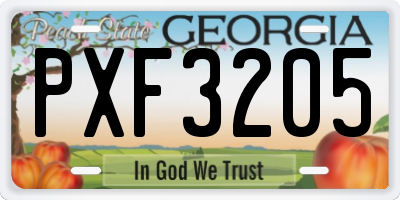 GA license plate PXF3205
