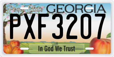 GA license plate PXF3207