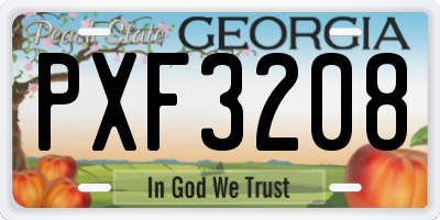 GA license plate PXF3208