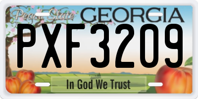 GA license plate PXF3209