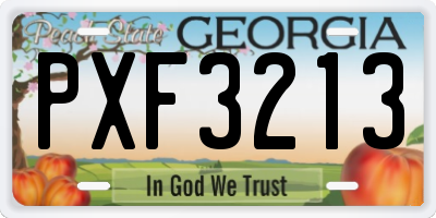 GA license plate PXF3213