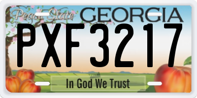 GA license plate PXF3217