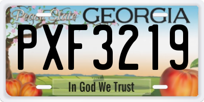 GA license plate PXF3219