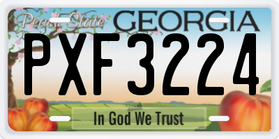 GA license plate PXF3224