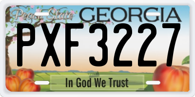 GA license plate PXF3227