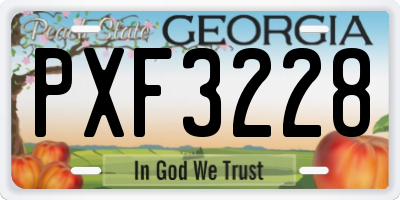 GA license plate PXF3228