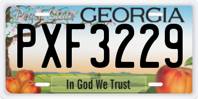 GA license plate PXF3229