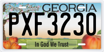 GA license plate PXF3230