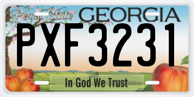 GA license plate PXF3231