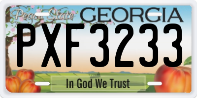 GA license plate PXF3233