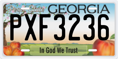 GA license plate PXF3236