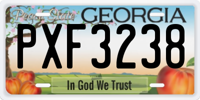 GA license plate PXF3238