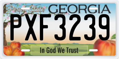 GA license plate PXF3239