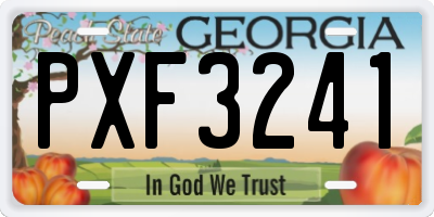 GA license plate PXF3241