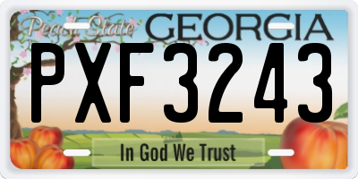GA license plate PXF3243