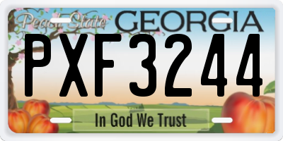 GA license plate PXF3244