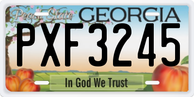 GA license plate PXF3245