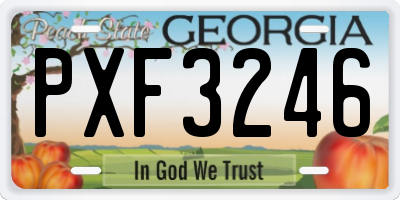 GA license plate PXF3246