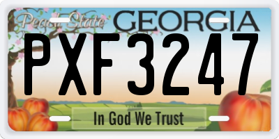 GA license plate PXF3247
