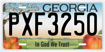 GA license plate PXF3250