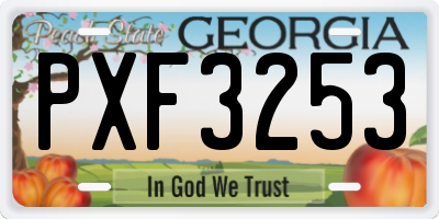 GA license plate PXF3253