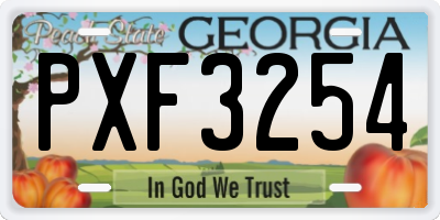 GA license plate PXF3254