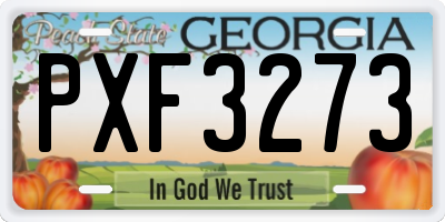 GA license plate PXF3273