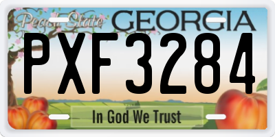 GA license plate PXF3284