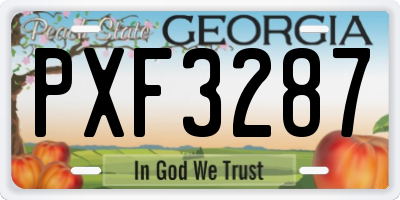 GA license plate PXF3287