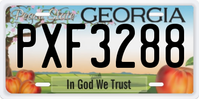 GA license plate PXF3288