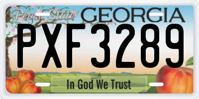 GA license plate PXF3289
