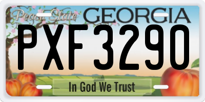 GA license plate PXF3290