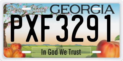 GA license plate PXF3291