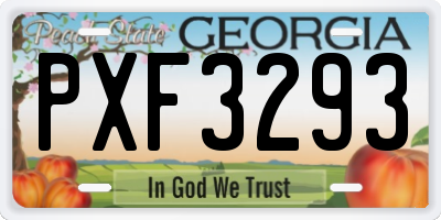 GA license plate PXF3293