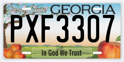 GA license plate PXF3307