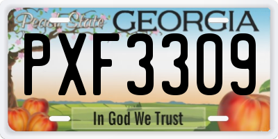 GA license plate PXF3309