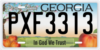 GA license plate PXF3313