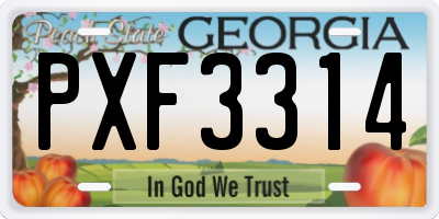 GA license plate PXF3314
