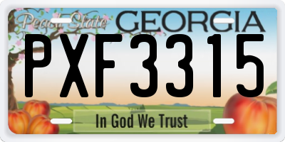 GA license plate PXF3315