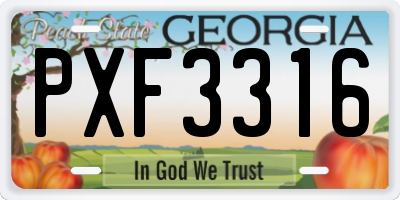 GA license plate PXF3316